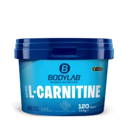 Acetyl L-Carnitine (120 Tabletten)