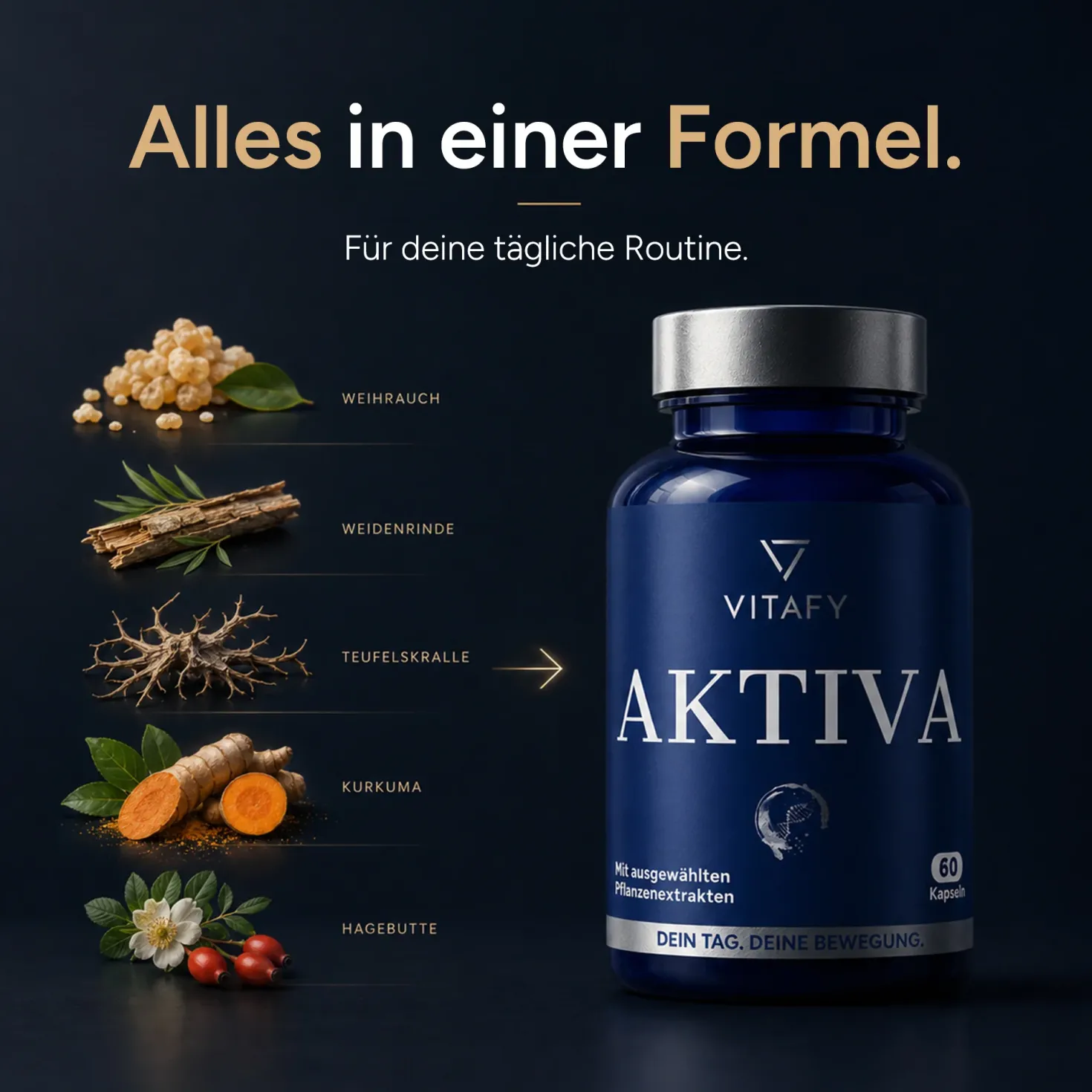 AKTIVA - Knochen und Knorpel Komplex (60 Kapseln)