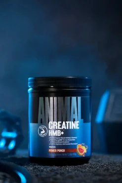 Animal Creatine HMB+ (330g)