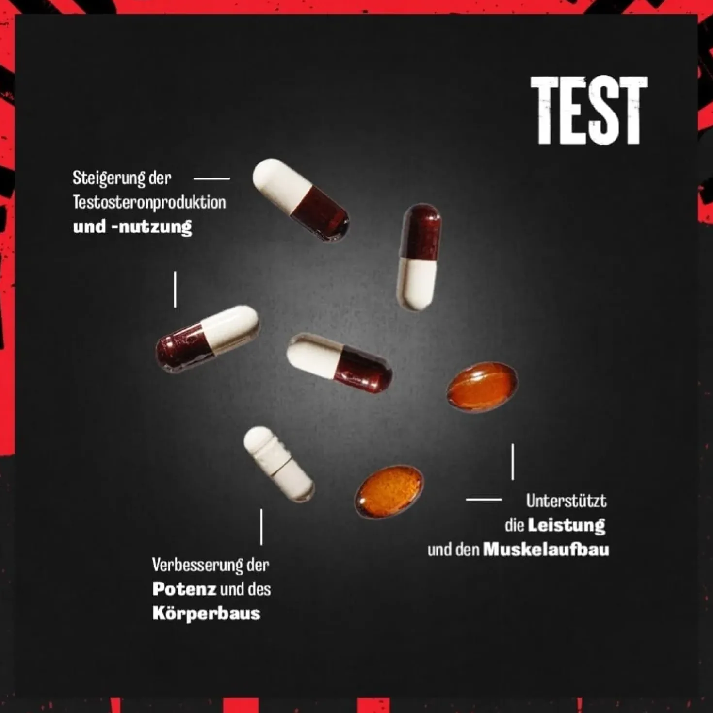 Animal Test (21 Beutel)