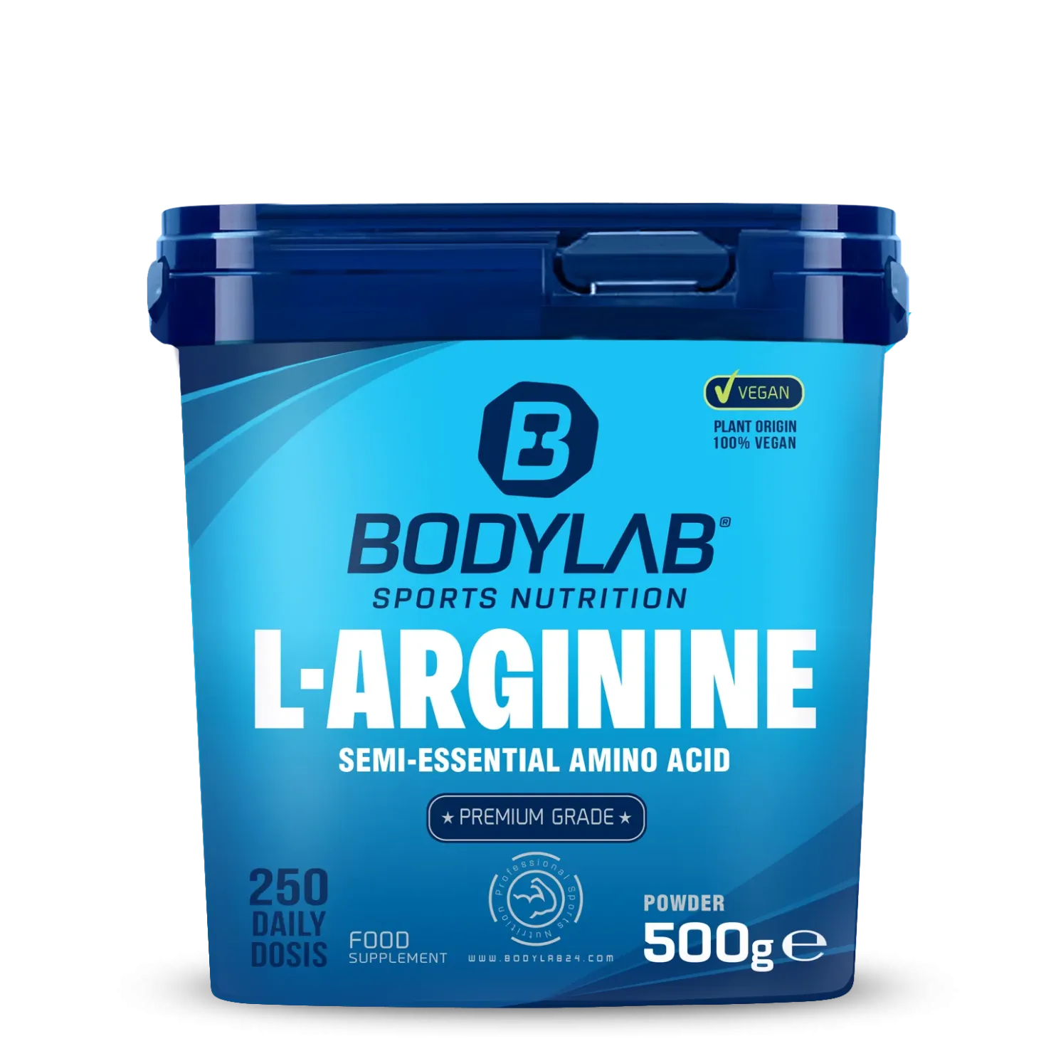 Arginine Powder (500g)