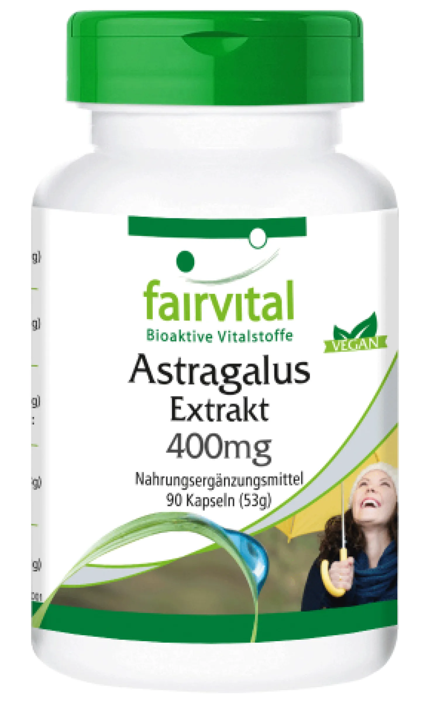 Astragalus Extrakt (90 Kapseln)
