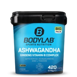 BIG PACK Ashwagandha Ginseng Vitamin-B Complex (420 Kapseln)