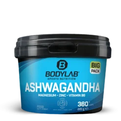 BIG PACK Ashwagandha + Magnesium - Zinc - Vitamin B6 (360 Kapseln)