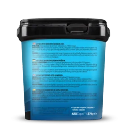BIG PACK BCAA (420 Kapseln)