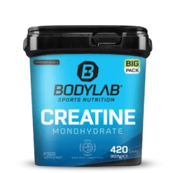 BIG PACK Creatine Monohydrate (420 Kapseln)