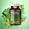 Bio Ashwagandha Kapseln (150 Kapseln)