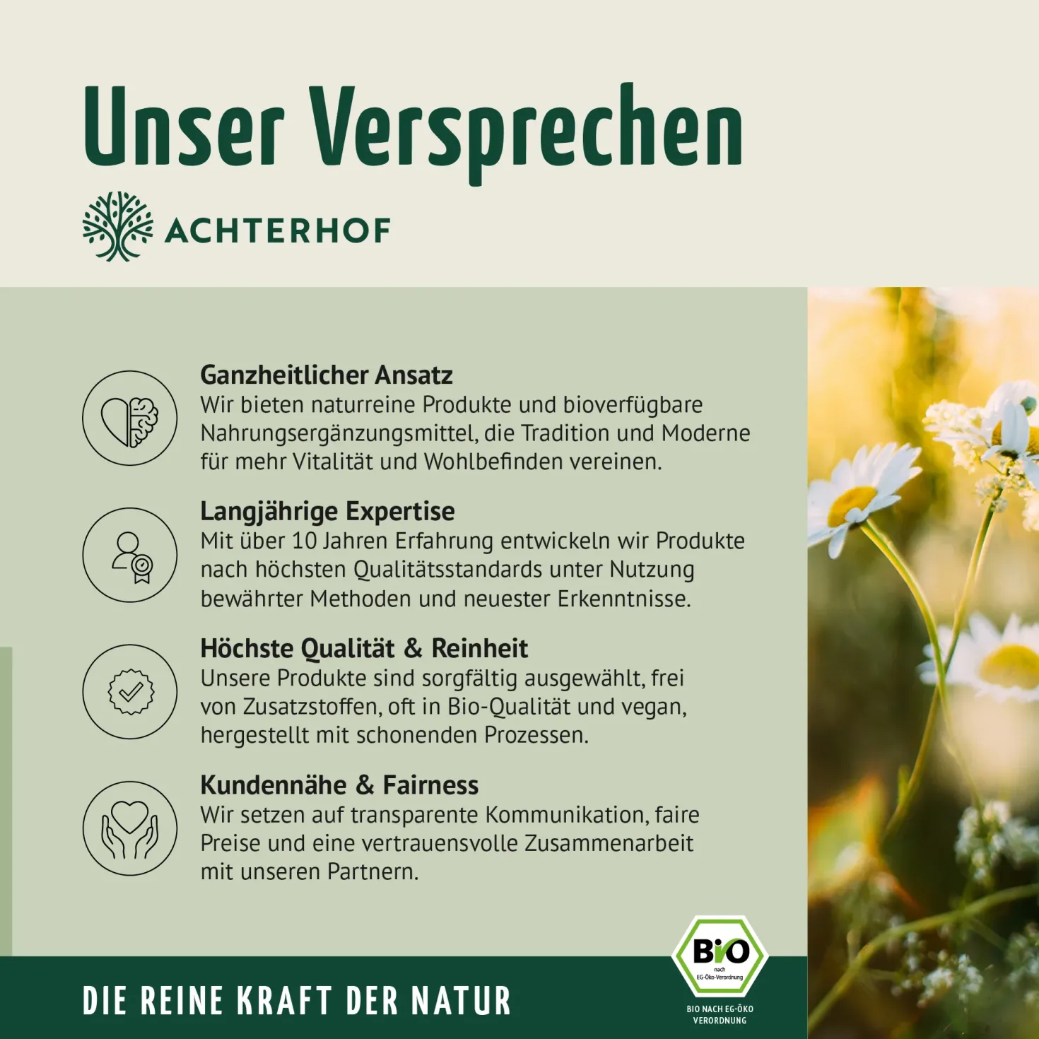 Bio Ashwagandha Kapseln Nachfüllpack (400 Kapseln)