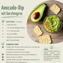 Bio Gerstengras Pulver (500g)
