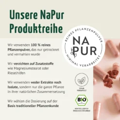 Bio Hagebutten Kapseln Nachfüllpack (400 Kapseln)