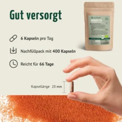 Bio Hagebutten Kapseln Nachfüllpack (400 Kapseln)