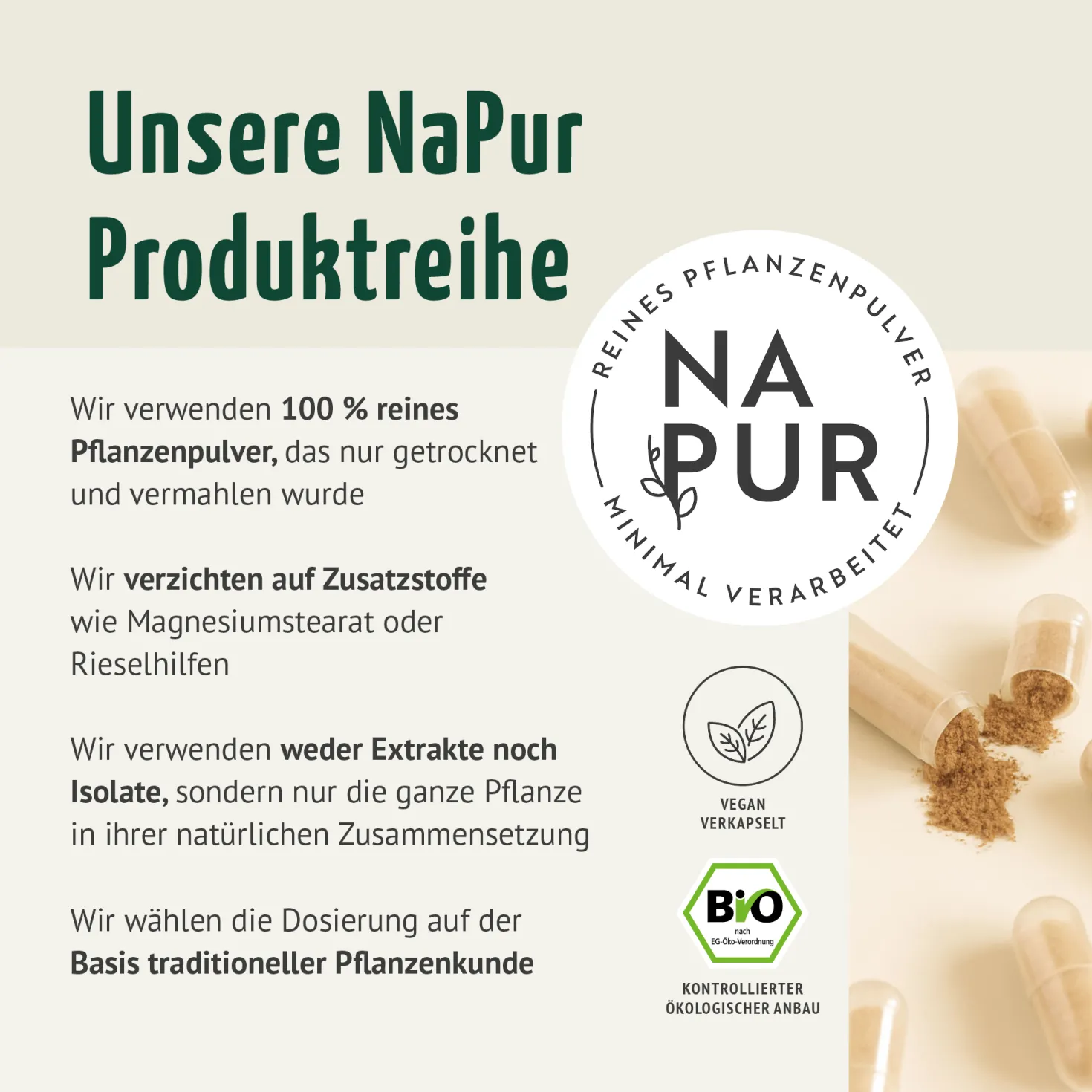 Bio Ingwer Kapseln Nachfüllpack (400 Kapseln)