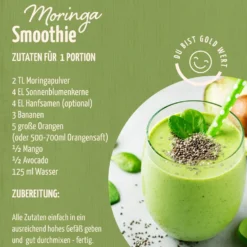Bio Moringa Pulver (500g)