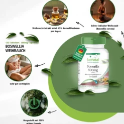 Boswellia (120 Tabletten)