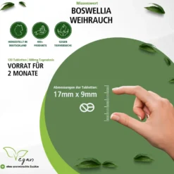 Boswellia (120 Tabletten)