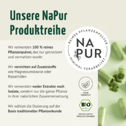 Brennnessel Kapseln Bio (160 Kapseln)