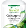 Chlorophyll mit Minzaroma (100 Kautabletten)