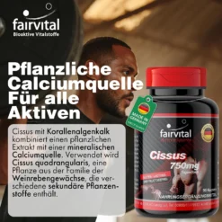 Cissus (90 Kapseln)