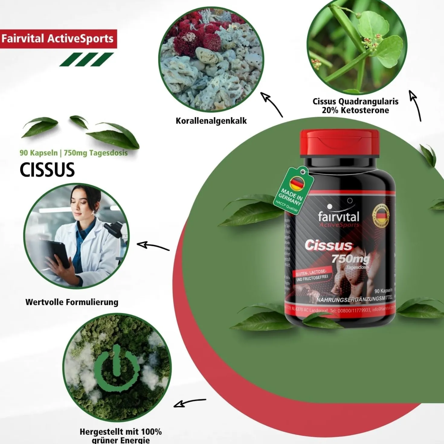 Cissus (90 Kapseln)