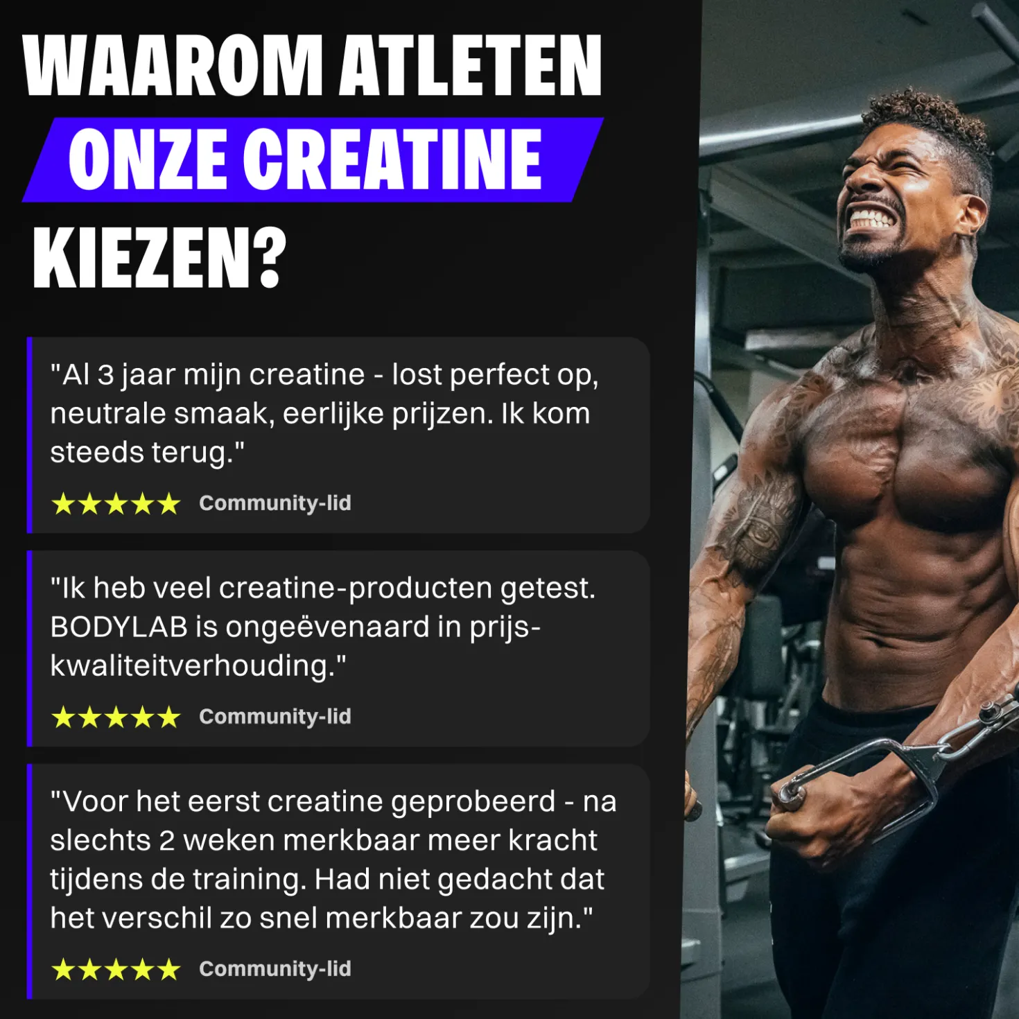 Creatine Powder (500g)