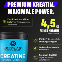 Creatine Powder (500g)