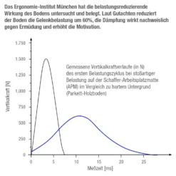 Functional Training Bodenmatte Grün + Übungs-Video