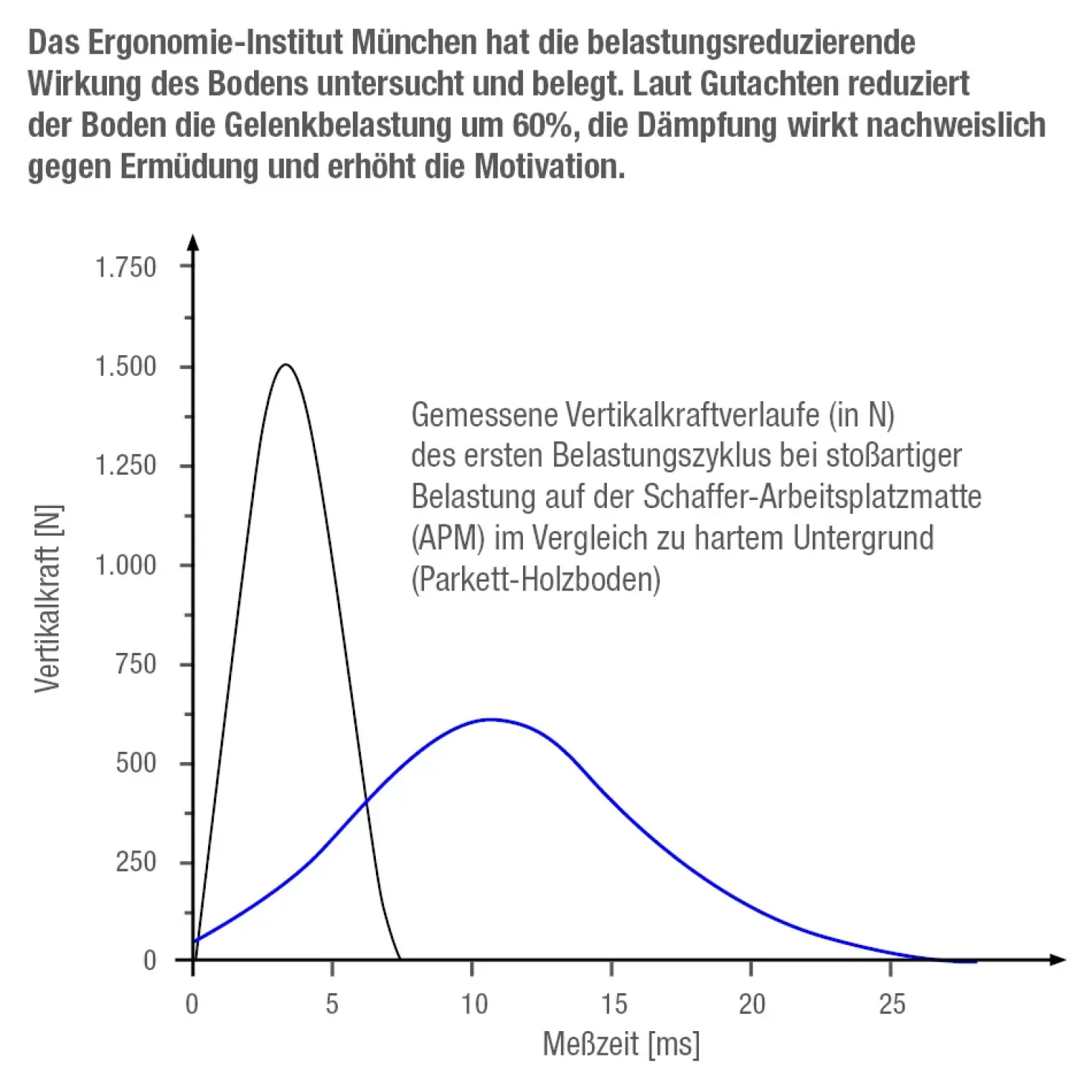 Functional Training Bodenmatte Grün + Übungs-Video "Training mit dem Funktionalem Boden"