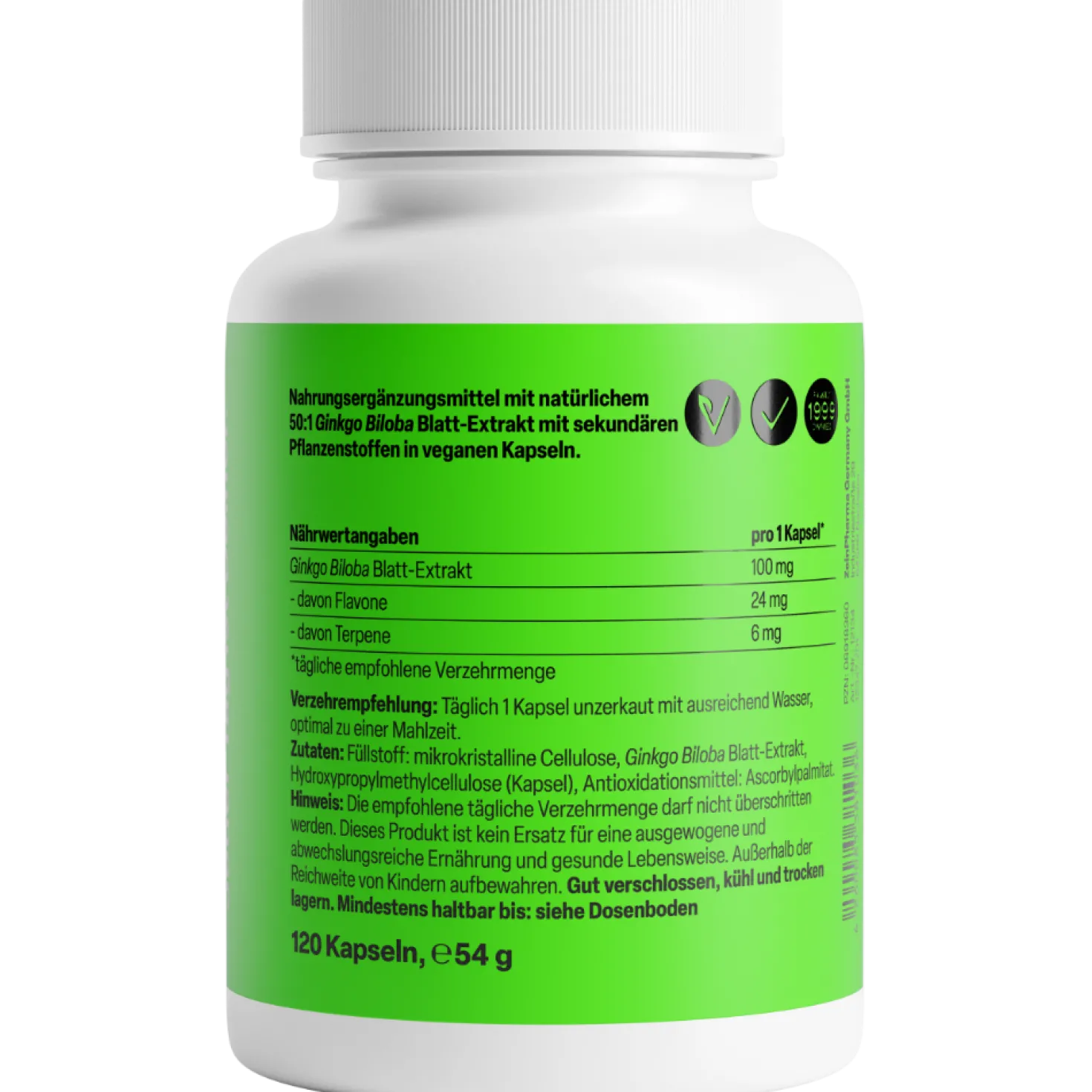 Ginkgo Biloba 100mg (120 Kapseln)