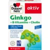 Ginkgo + Vitamin B + Cholin (40 Kapseln)