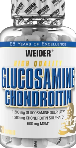 Glucosamine + Chondroitin Plus MSM (120 Kapseln)