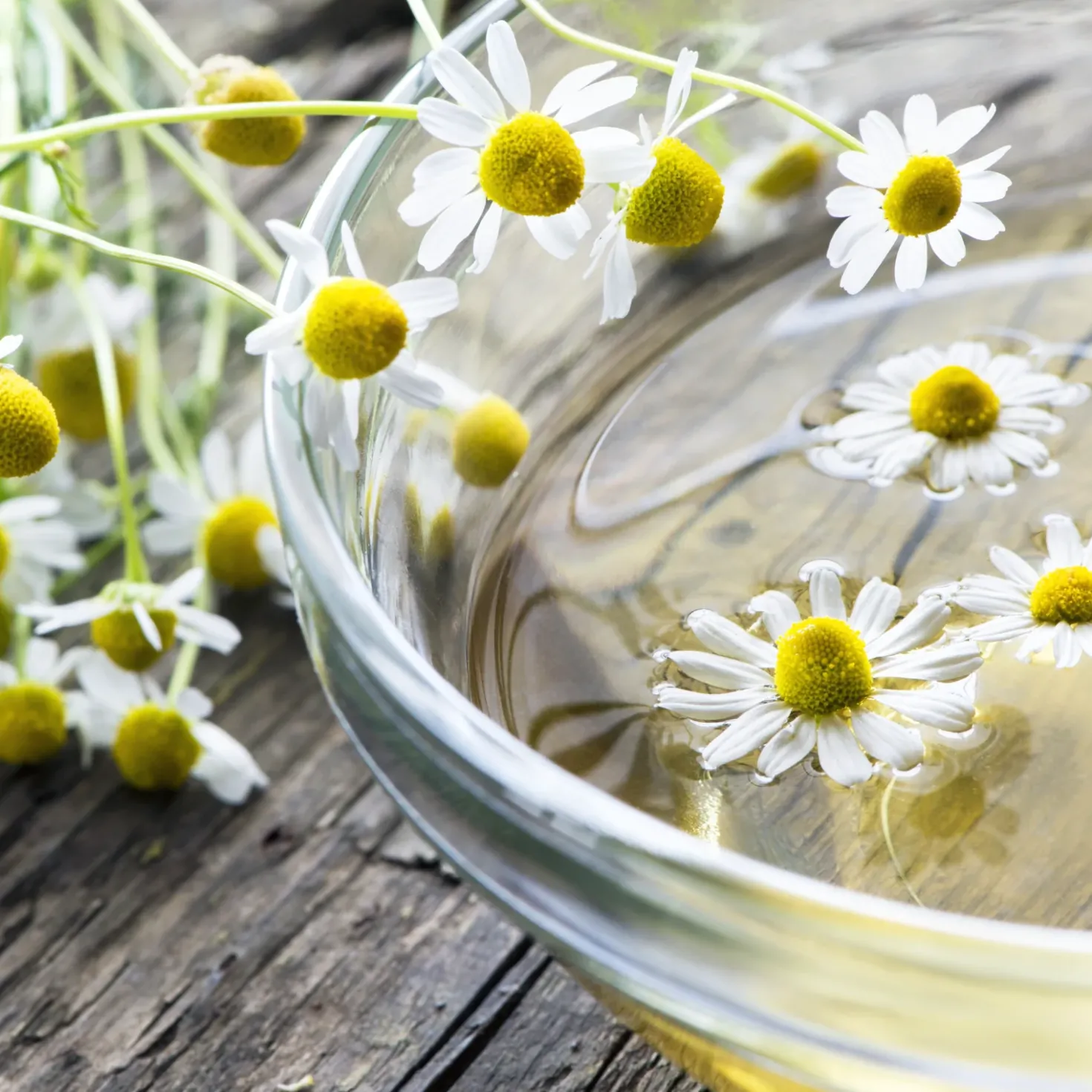Kamillenblüten ganz Bio (1000g)