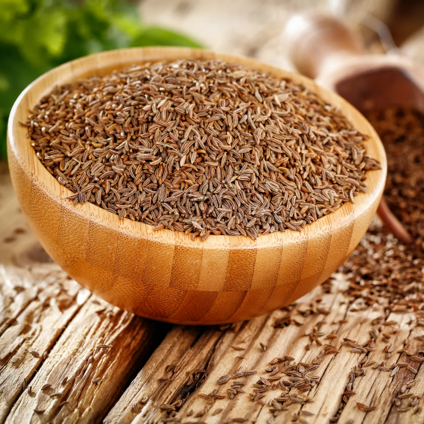 Kümmelsamen ganz Bio (1000g)