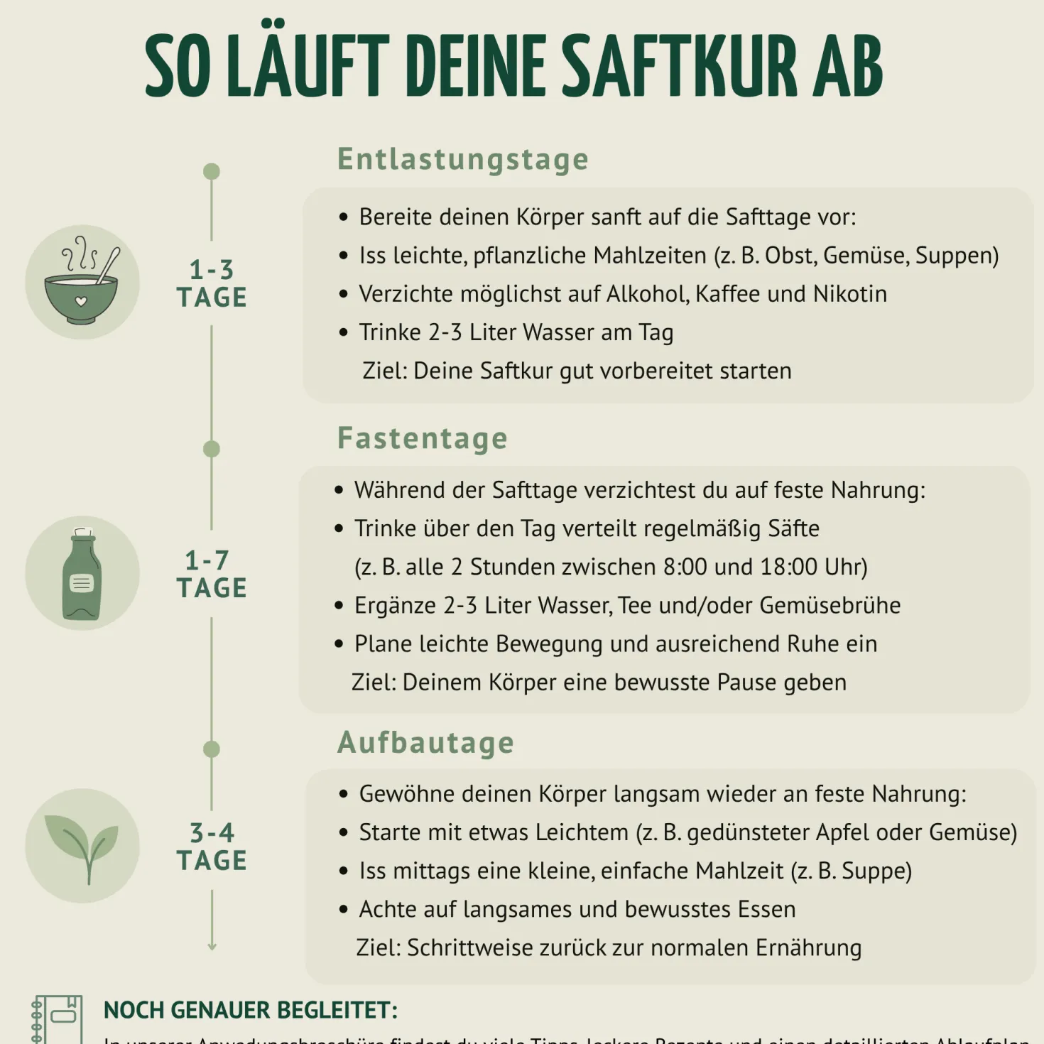 Kräuterwunder Bio Fastenkur 1-7 Tage (6 Flaschen pro Tag)