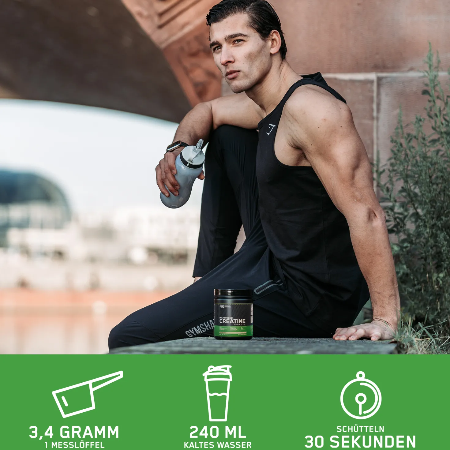 Micronised Creatine Powder (317g)
