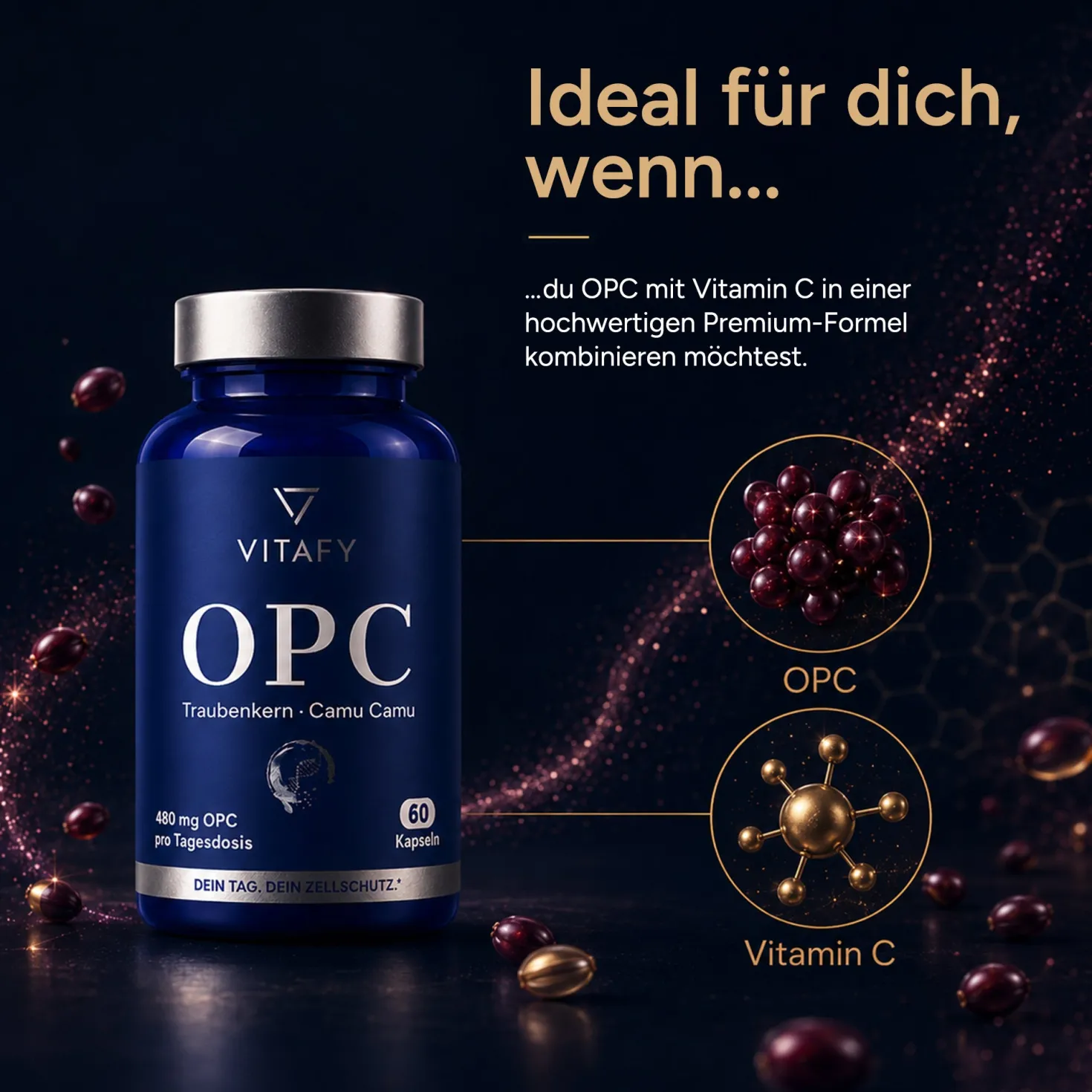 OPC Traubenkernextrakt + Vitamin C (60 Kapseln)