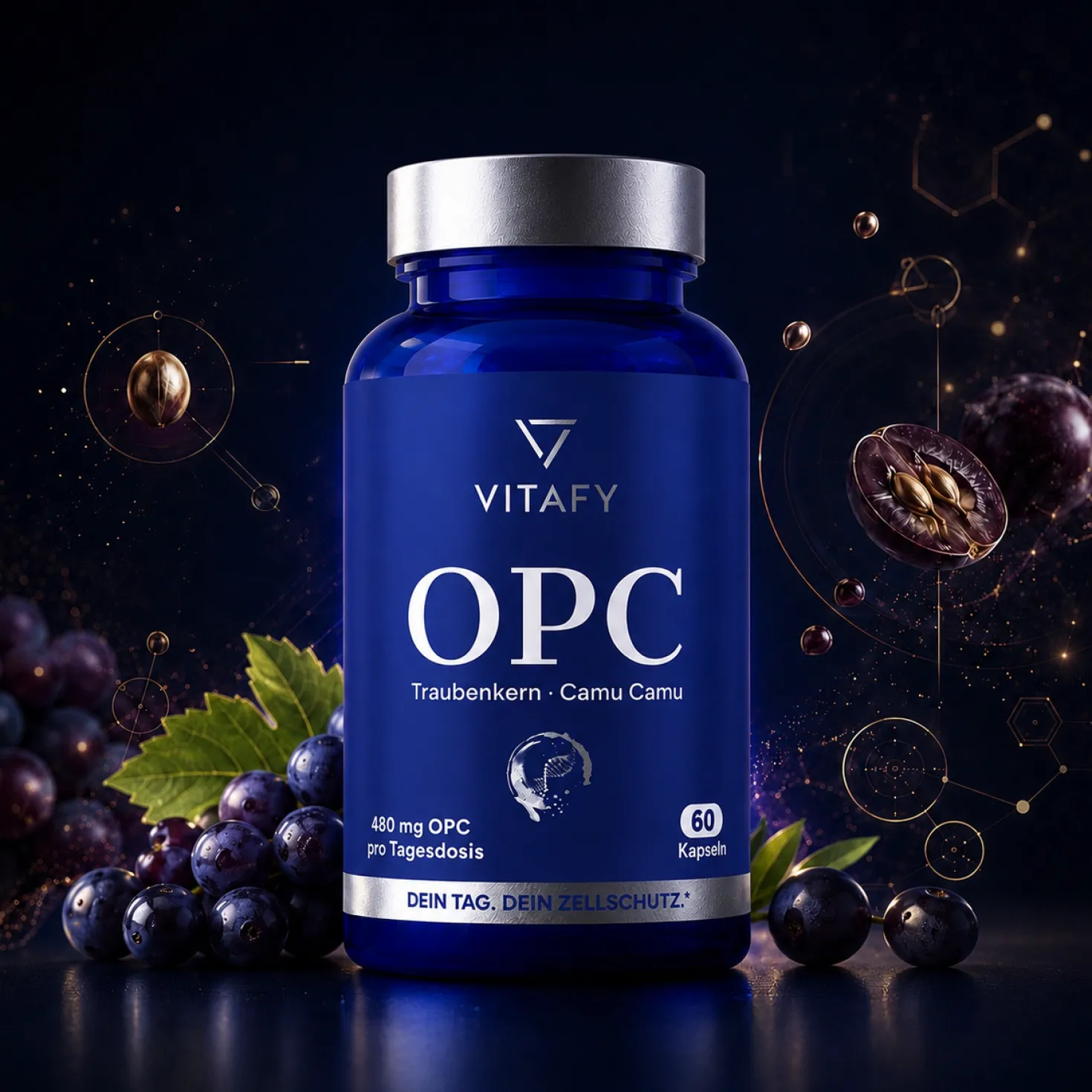 OPC Traubenkernextrakt + Vitamin C (60 Kapseln)