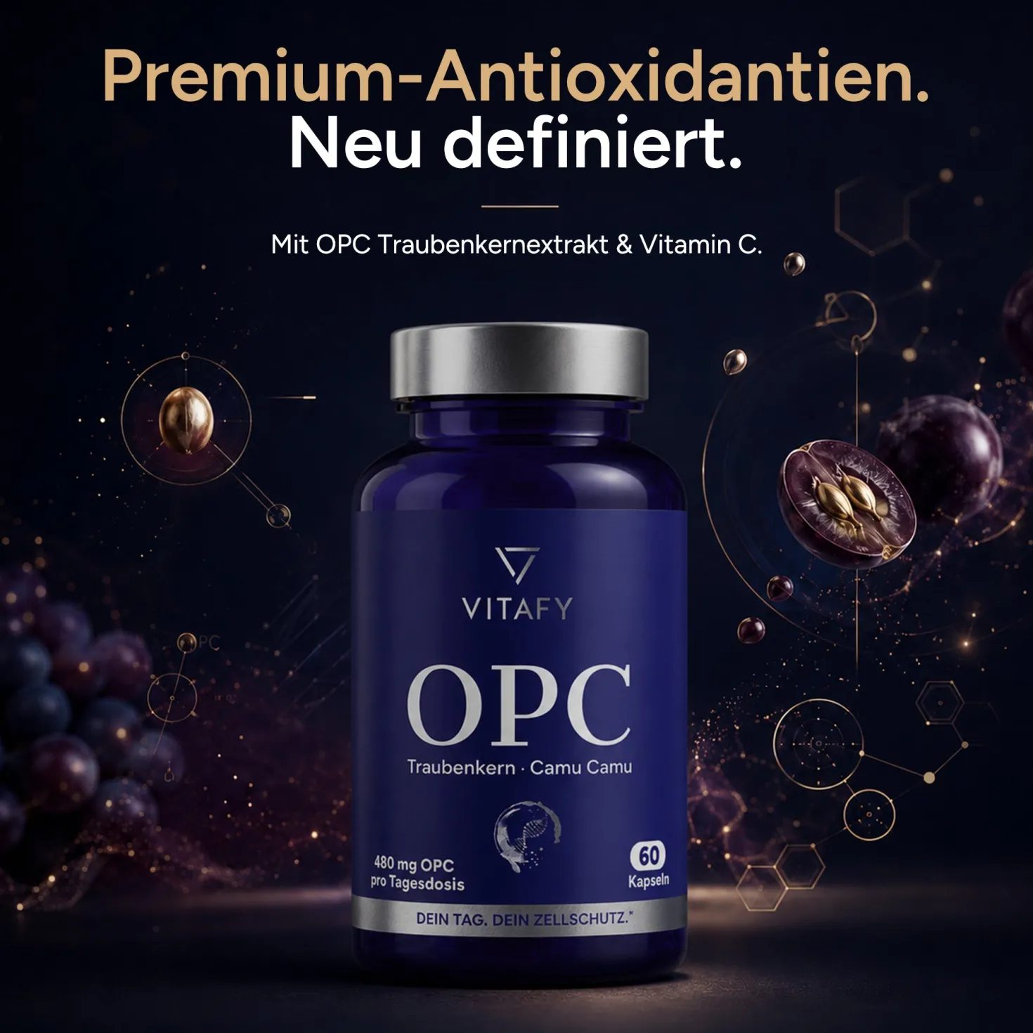 OPC Traubenkernextrakt + Vitamin C (60 Kapseln)