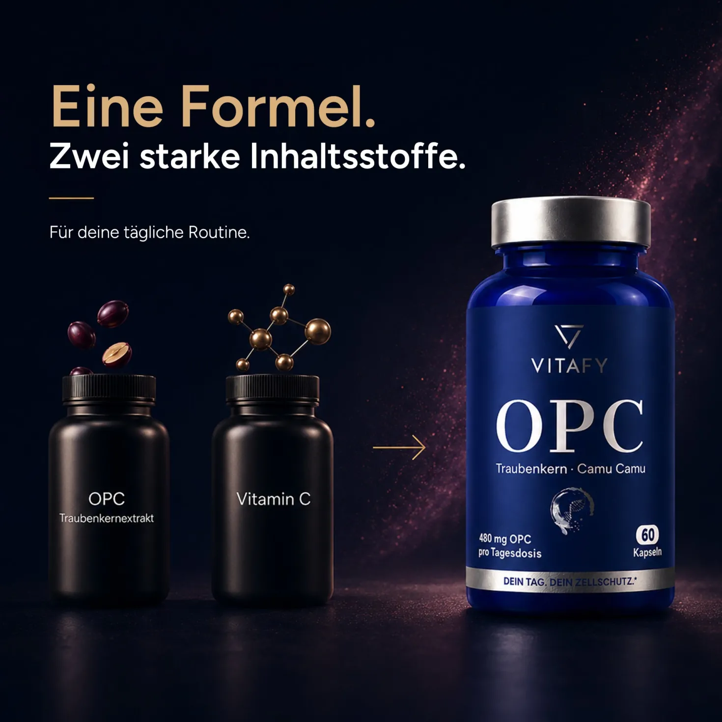 OPC Traubenkernextrakt + Vitamin C (60 Kapseln)