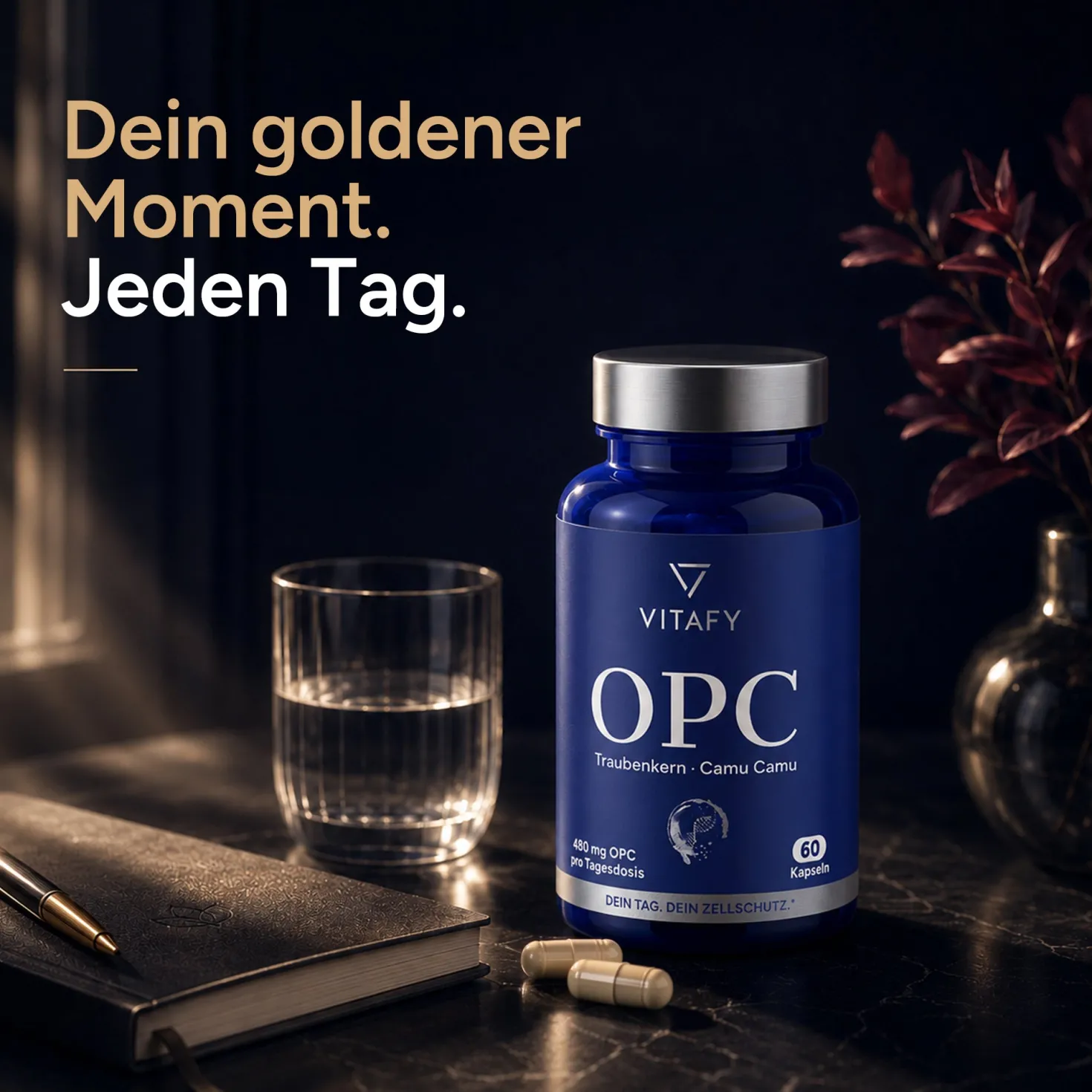 OPC Traubenkernextrakt + Vitamin C (60 Kapseln)