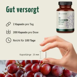OPC Traubenkernextrakt + Vitamin C Kapseln (200 Kapseln)