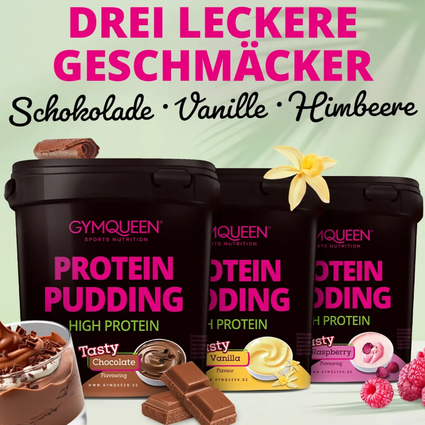 Protein Pudding (450g)