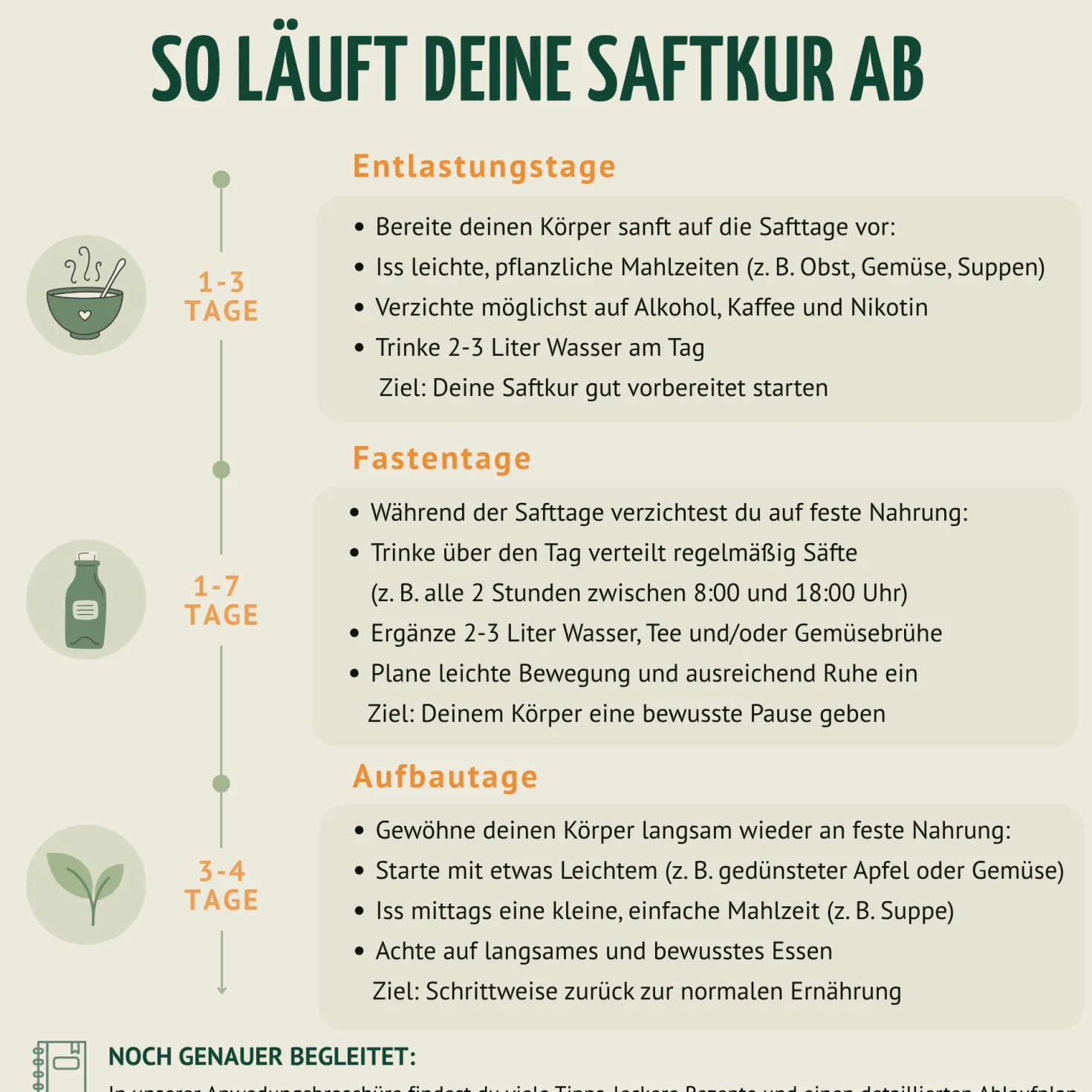 Saftzeit Bio Fastenkur 1-7 Tage (6 Flaschen pro Tag)