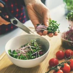 Salatkräuter Gewürzmischung Bio (100g)