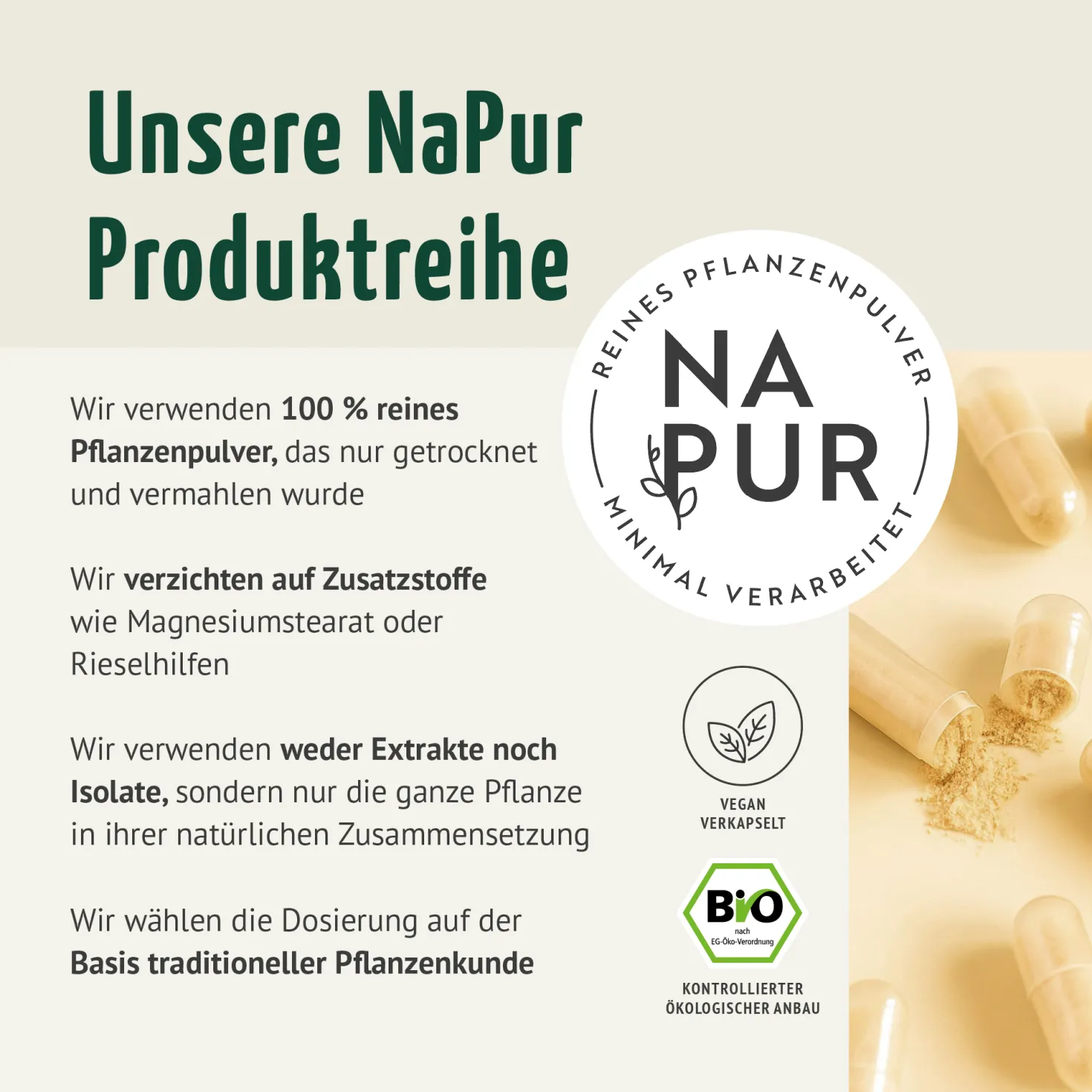 Spermidin Kapseln Bio (180 Kapseln)