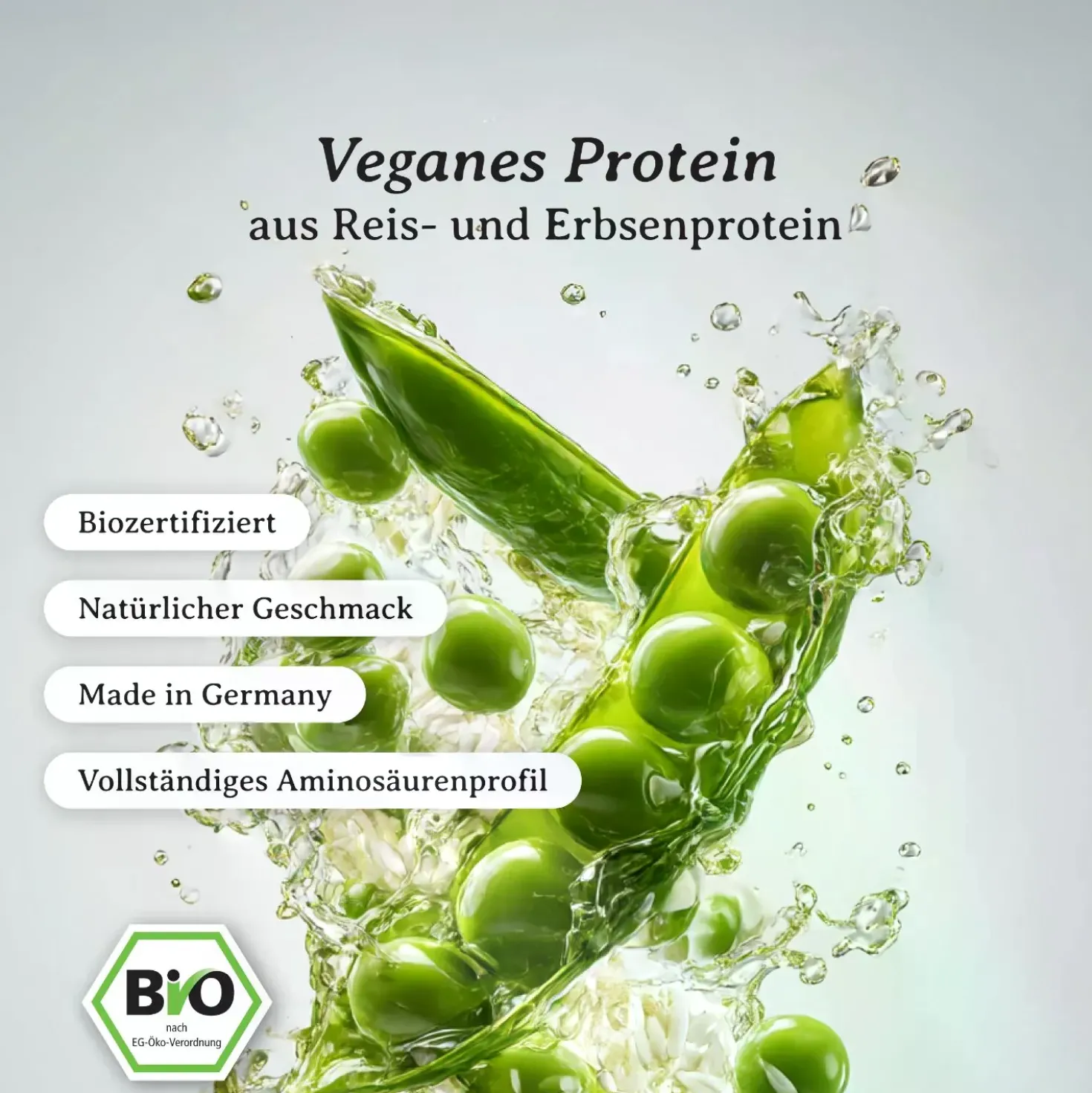 Vegan Protein bio (700g)