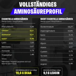 Vegan Protein (1000g)