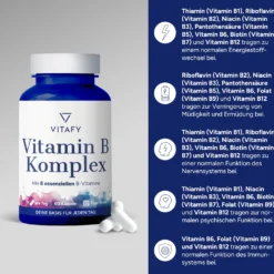 Vitamin B Komplex (60 Kapseln)