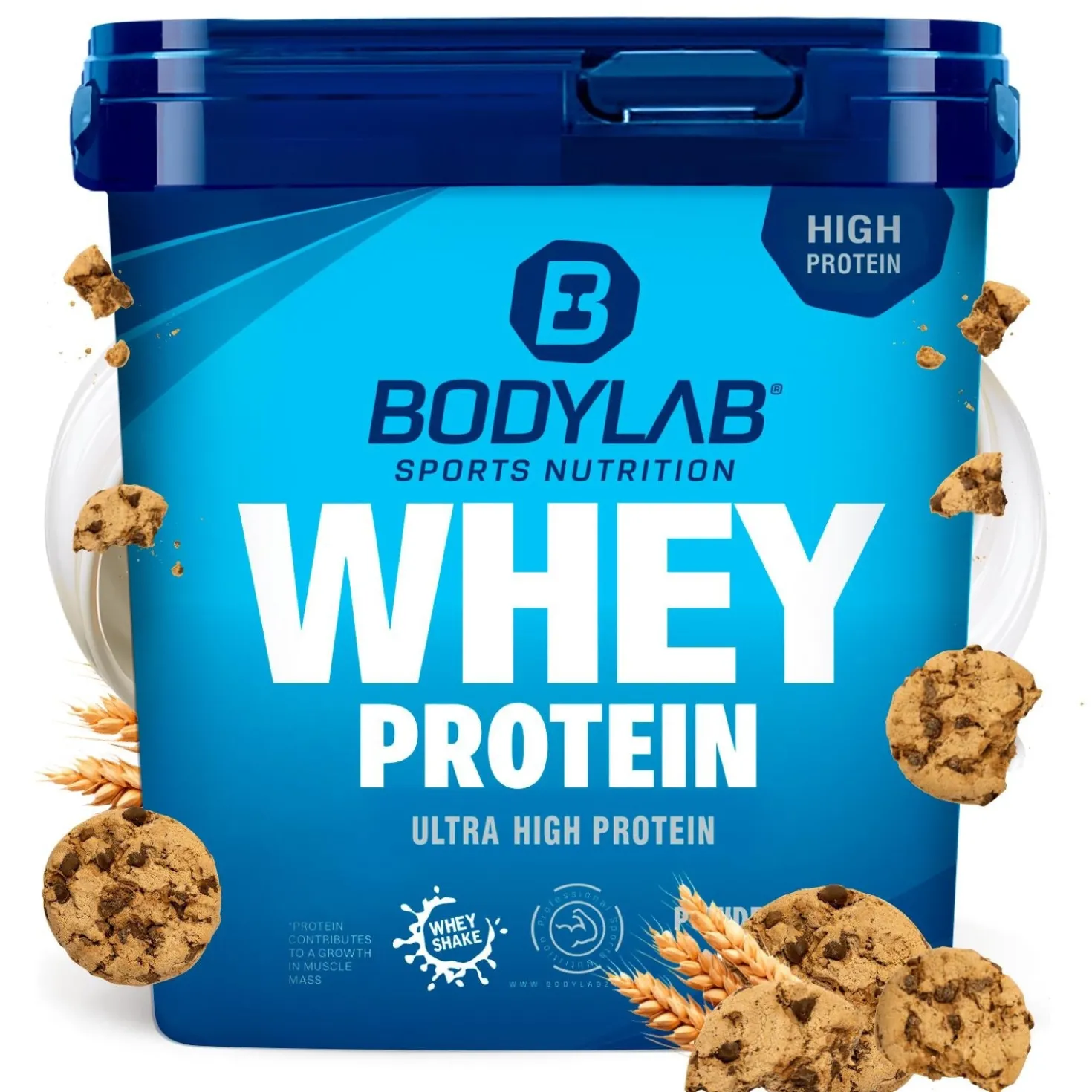 Whey Protein (1000g)