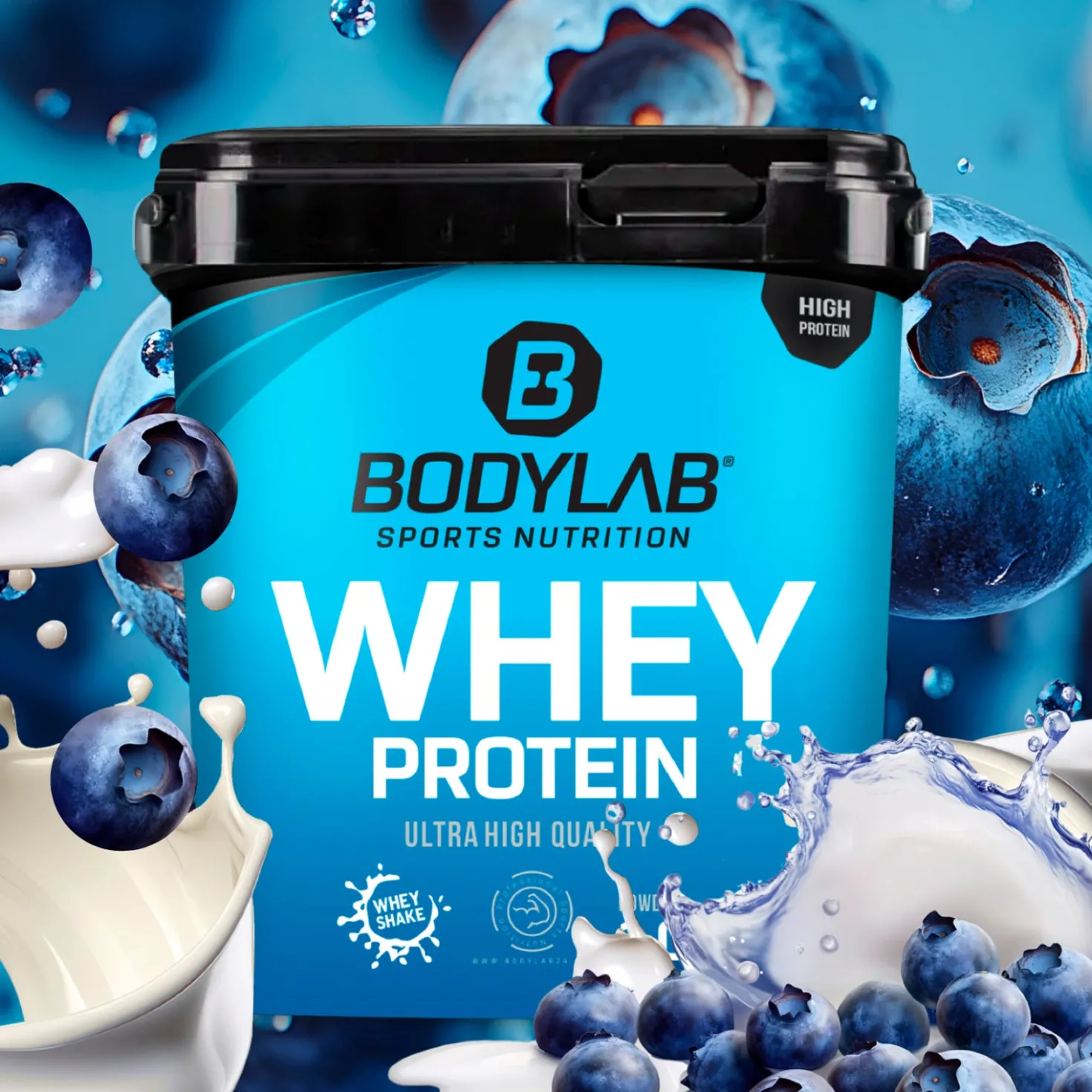 Whey Protein (1000g)