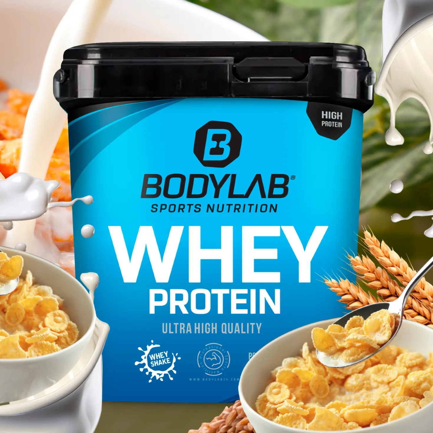 Whey Protein (1000g)